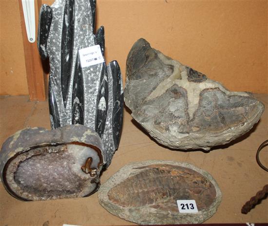 Qty of fossils etc